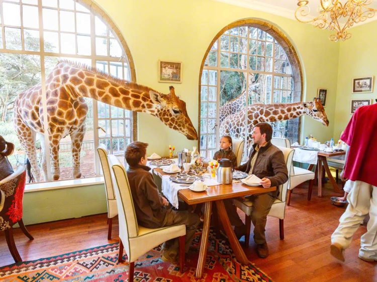 Staying At Giraffe Manor In Kenya - #travelphotobloggers