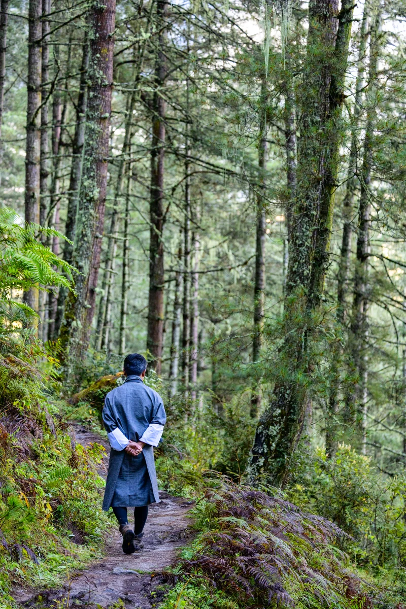 Bhutan festival itinerary - Gangtey Nature Trail