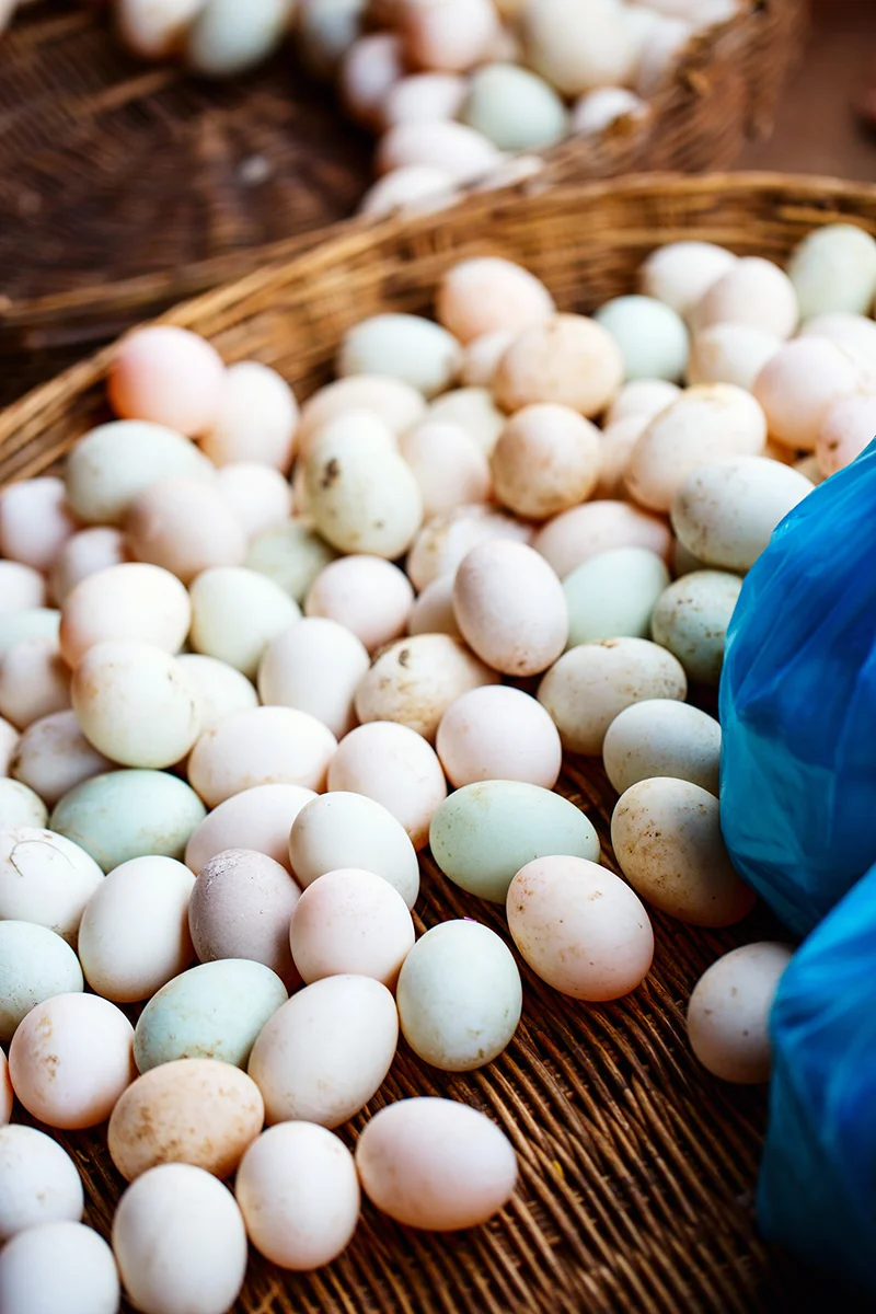 Fresh eggs at Siem Reap Old Market in Cambodia