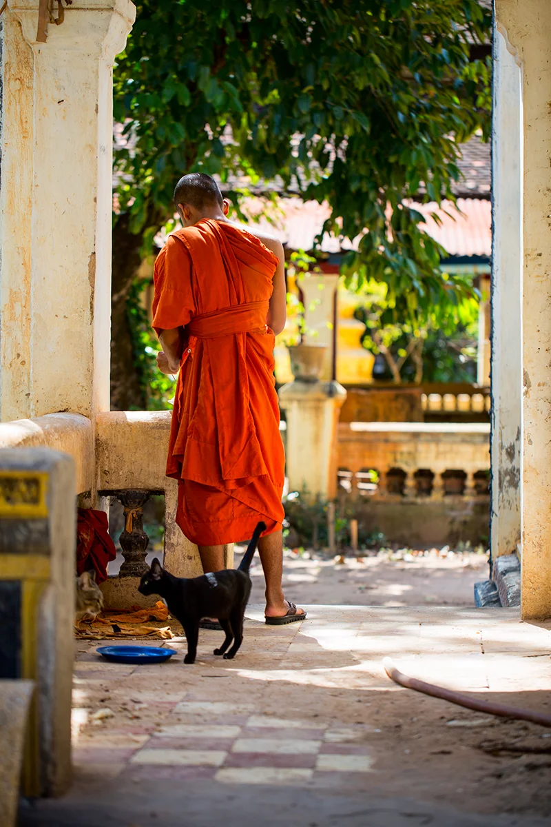 Monk at Wat Bo Monastery in Siem Reap Cambodia