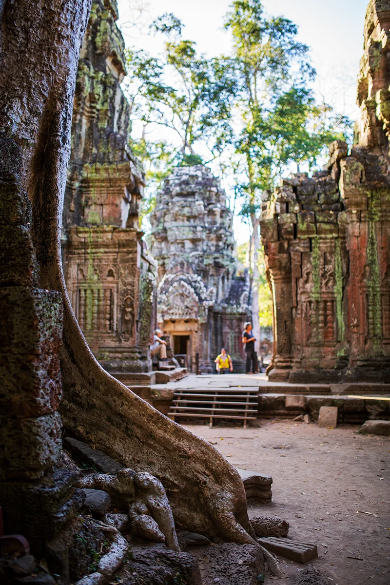 Ta Prohm Angkor temple in Siem Reap Cambodia
