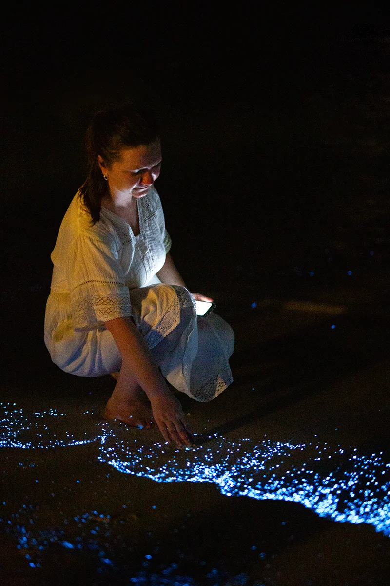 Bioluminescent plankton Koh Rong Cambodia itinerary