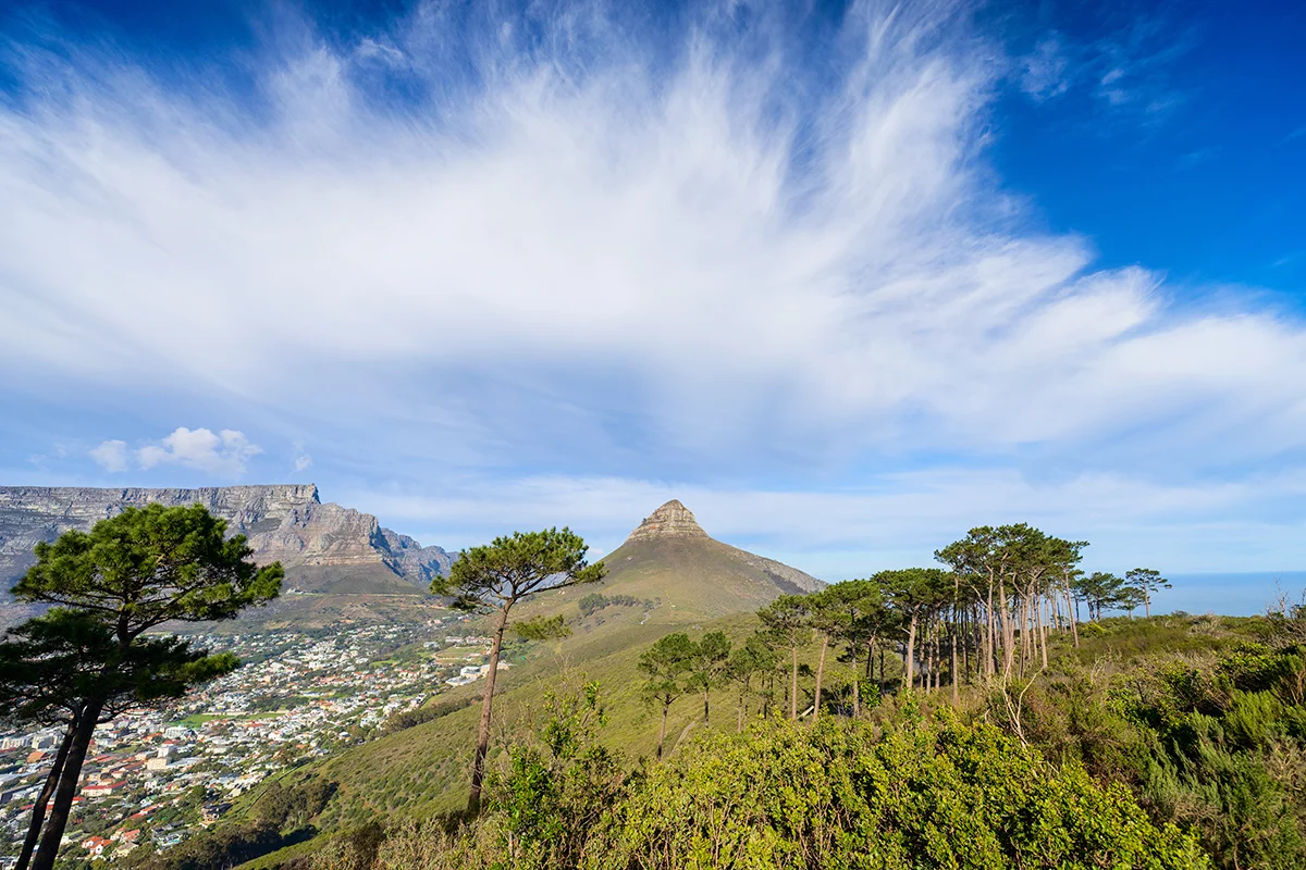 View of Cape Town from Signal Hill