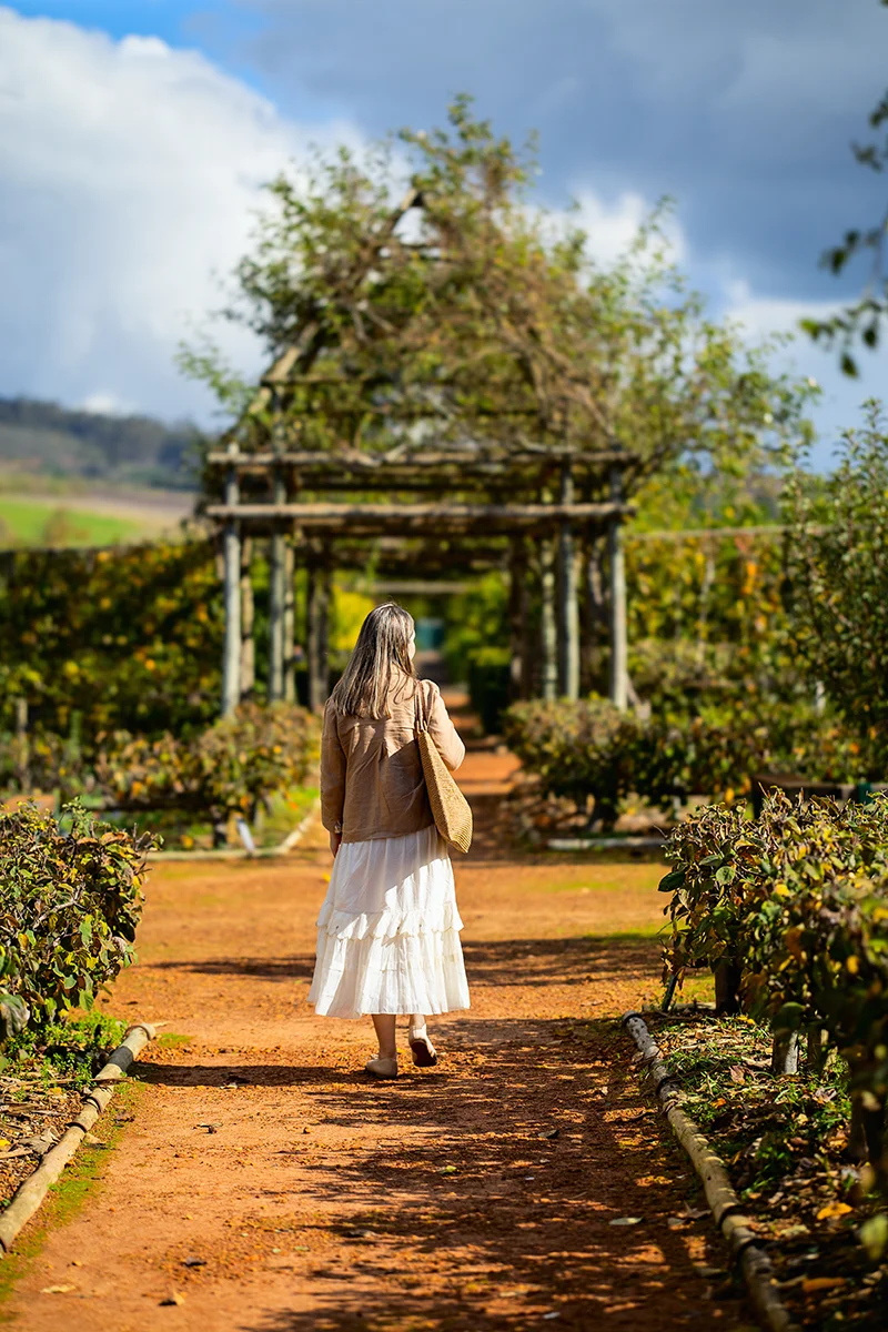 visiting Babylonstoren is one of the best things to do in Cape Town