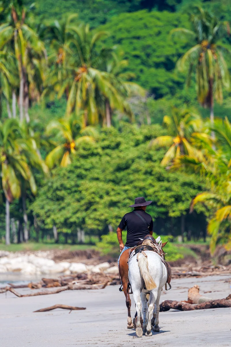 2-week Costa Rica itinerary - Samara beach horseback riding