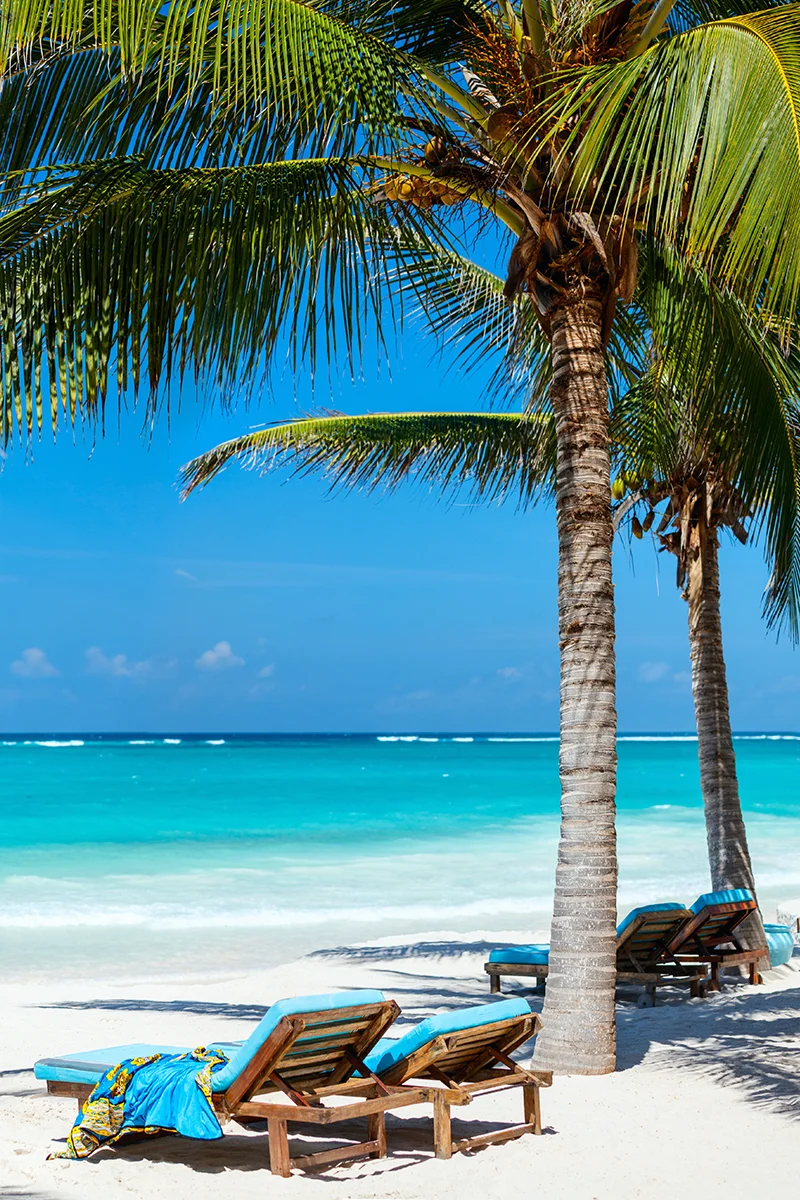 Pristine white sand beach with palm trees and turquoise waters at Diani Beach on Kenya's coast