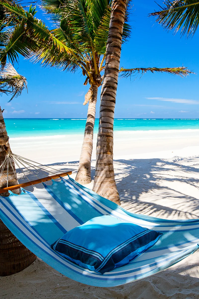 Pristine white sand beach with palm trees and turquoise waters at Diani Beach on Kenya's coast