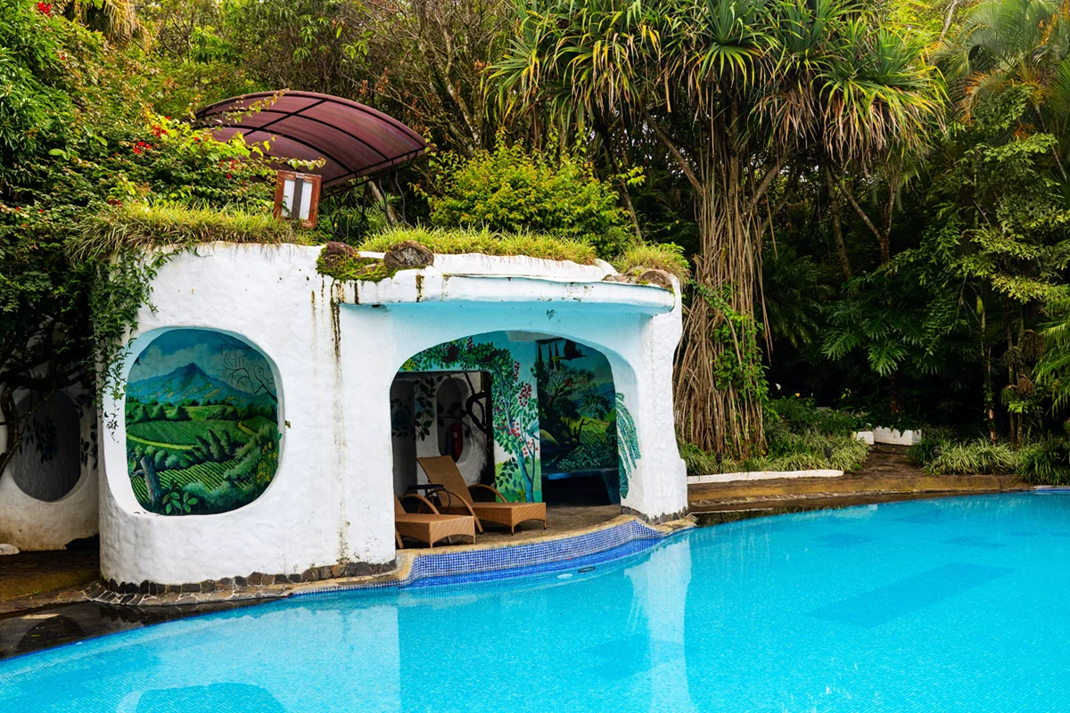 Spring-fed hillside infinity swimming pool at Finca Rosa Blanca