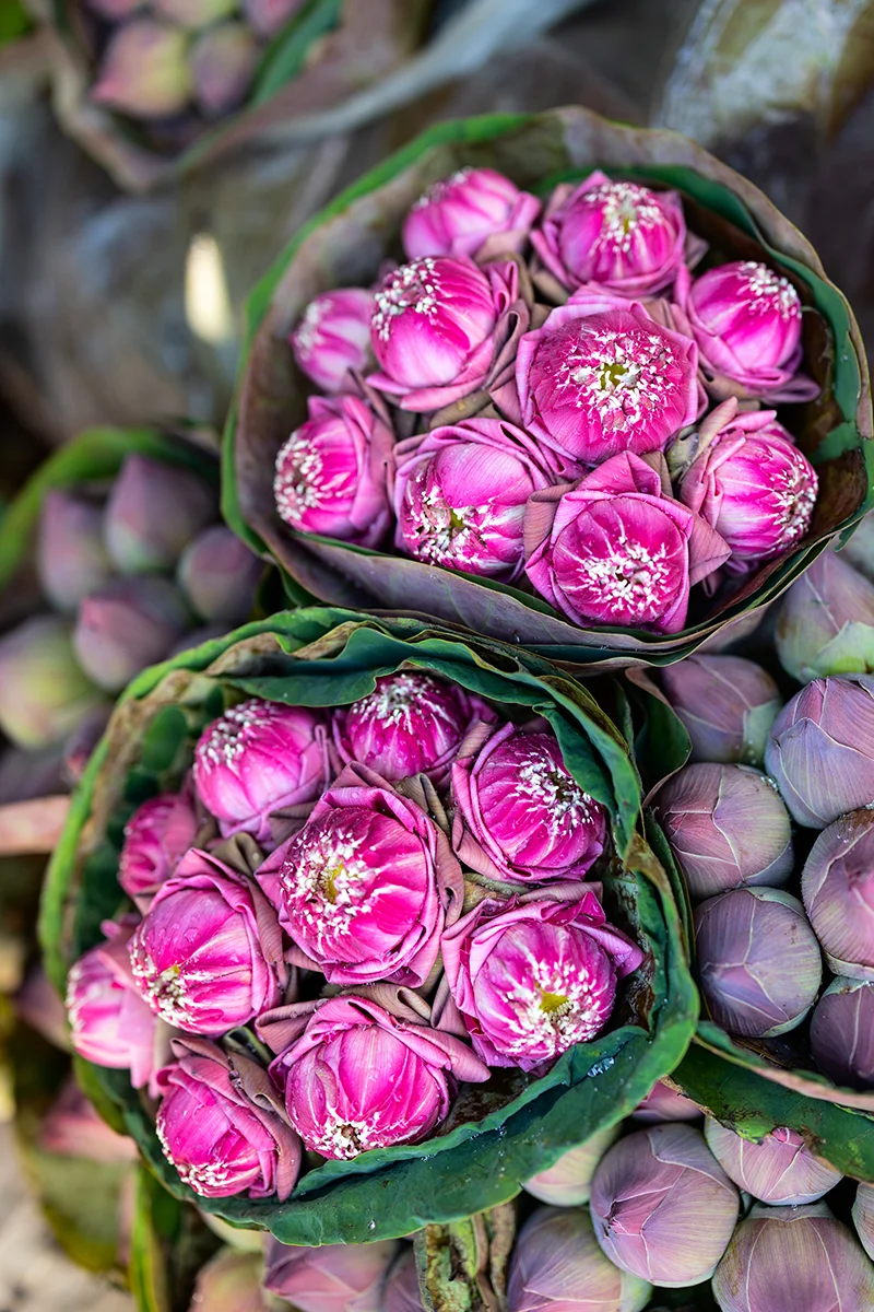Flower market in Bangkok
