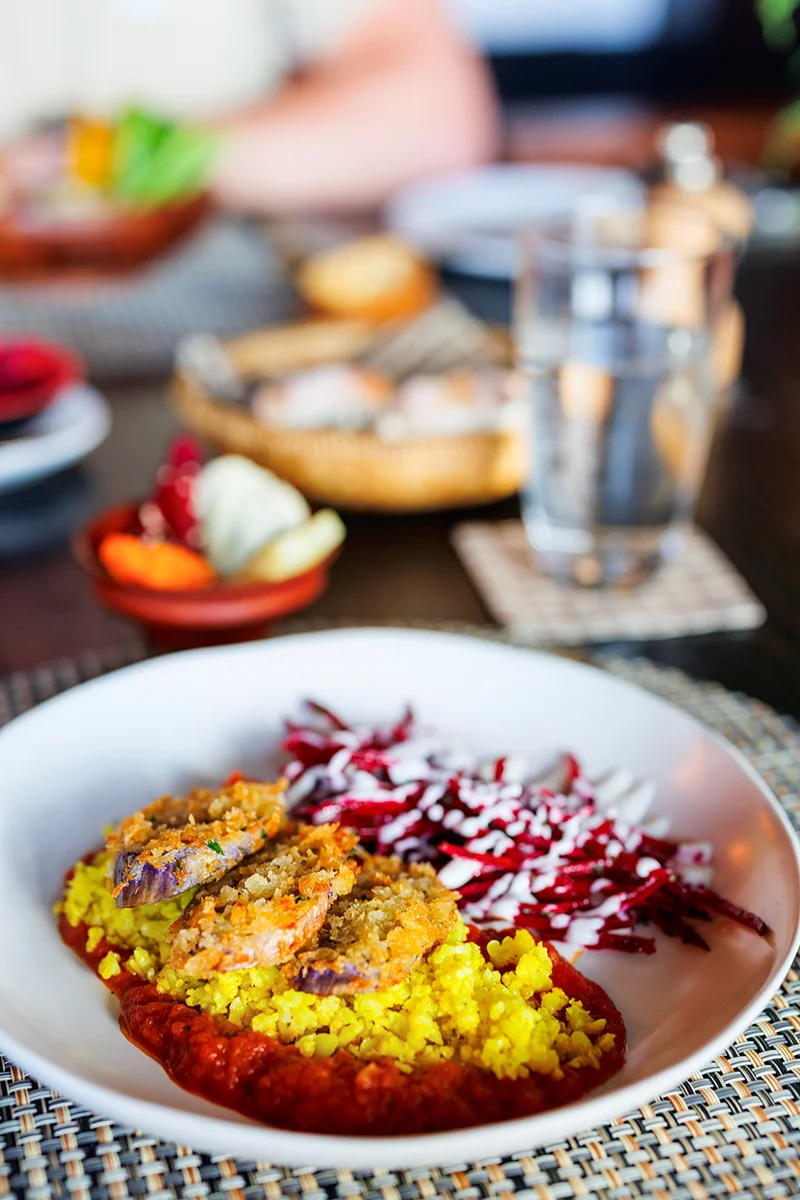 Colorful plate of rice and meat