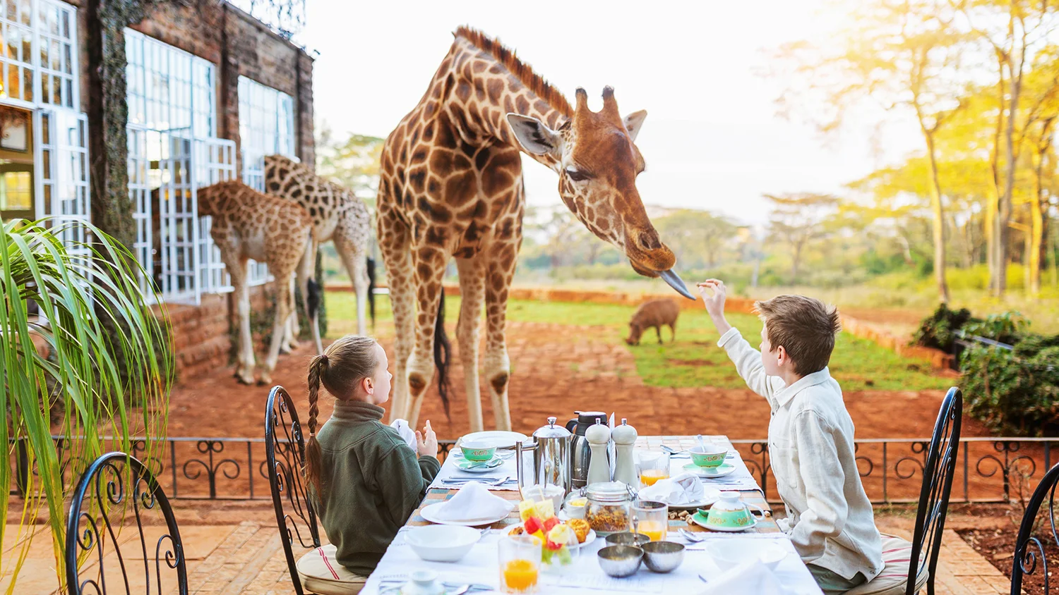 Staying at Giraffe Manor in Kenya