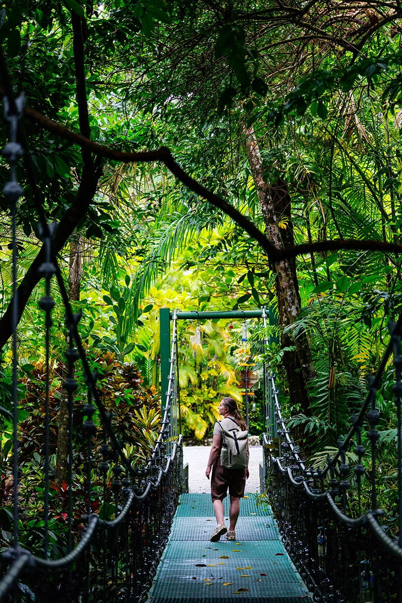 Suspension bridge at Hotel Costa Verde