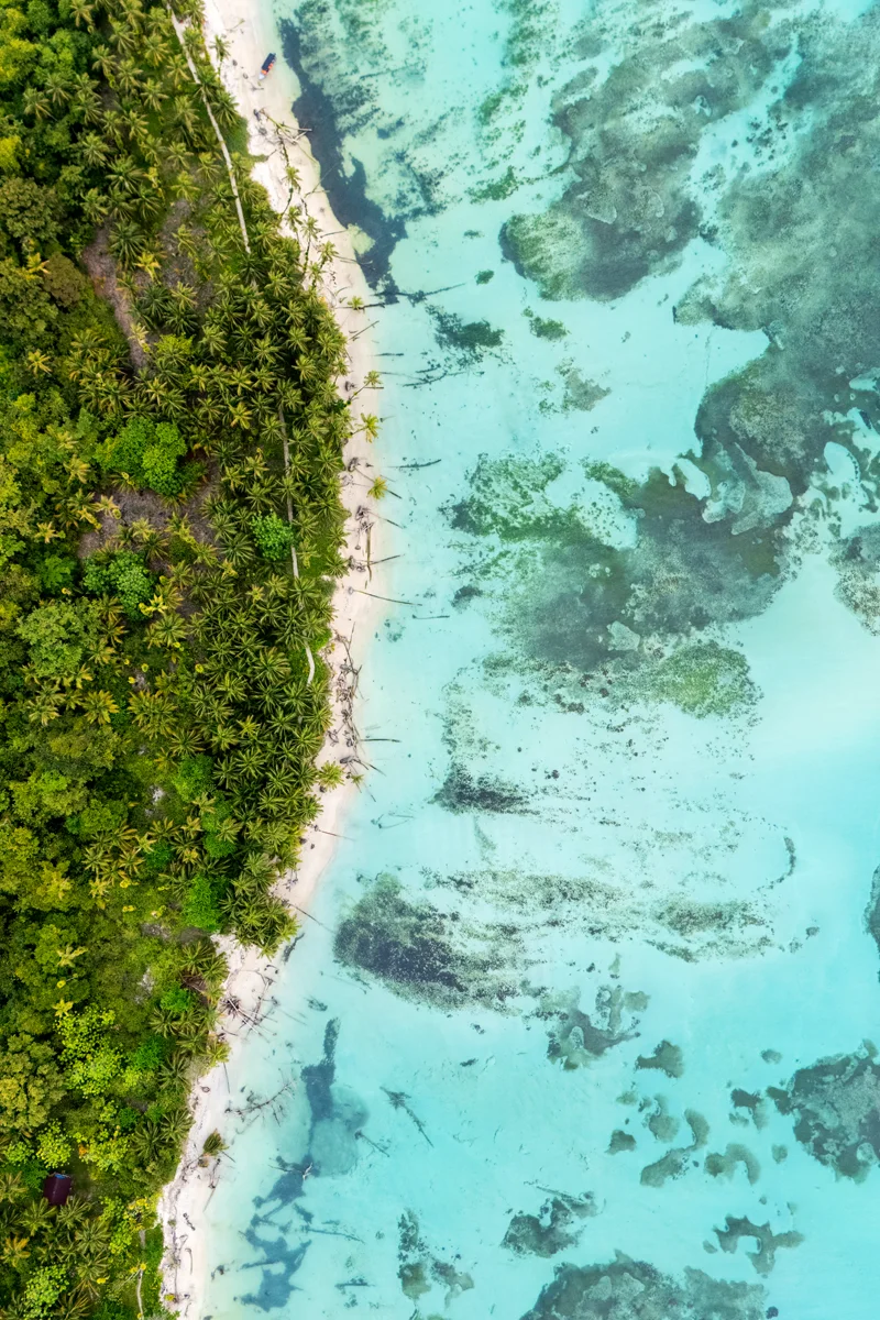 Zapatilla Island in Bocas del Toro