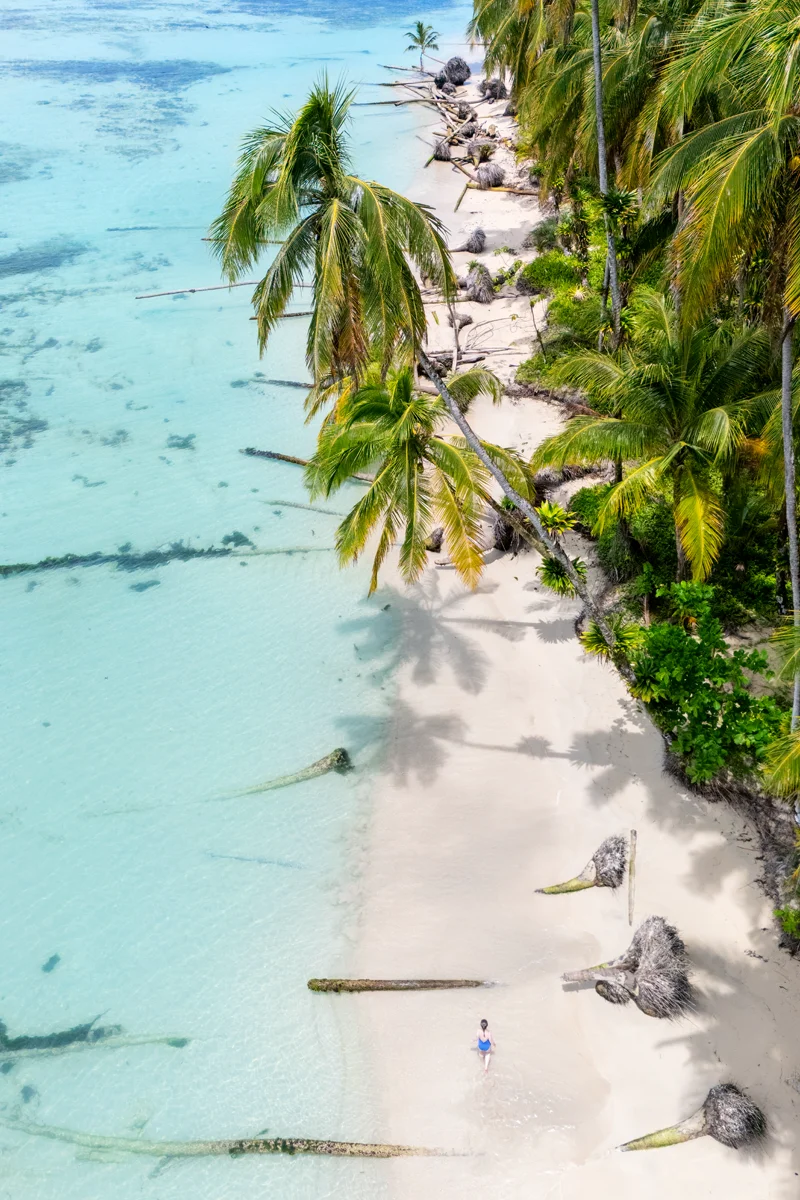 Zapatilla Island in Bocas del Toro, with palm trees and turquoise water