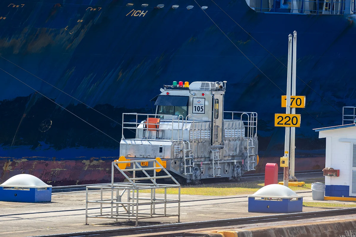 Mule at Panama Canal