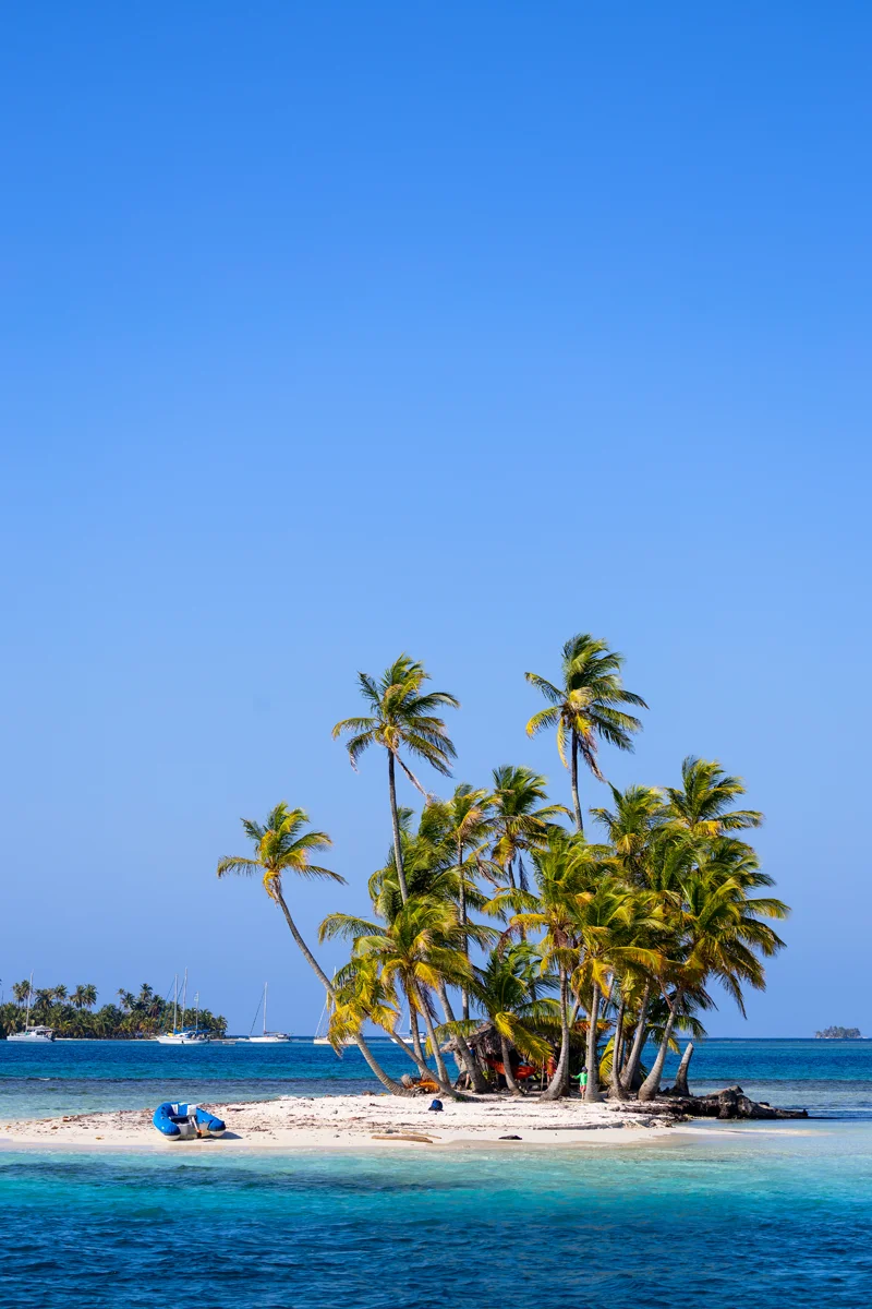 Tropical island with palm trees and water