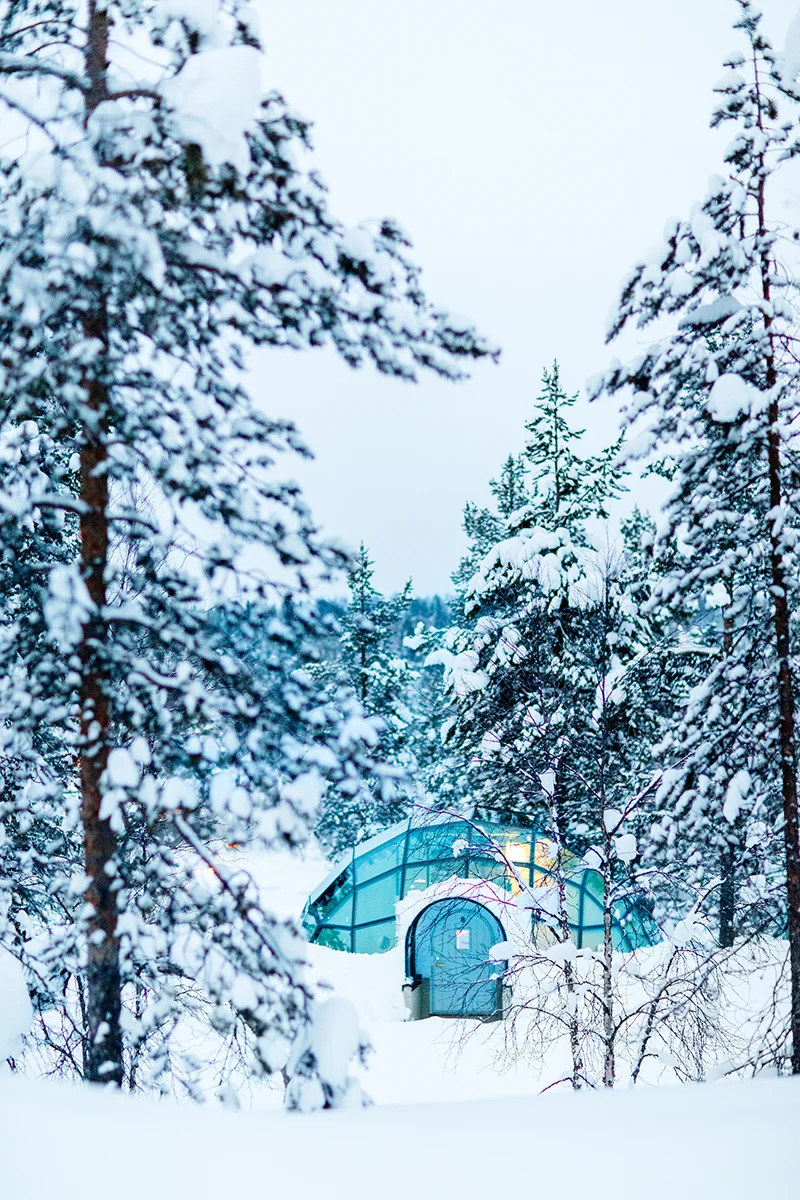 Glass igloo nestled in a snowy forest at Kakslauttanen Arctic Resort in Finland
