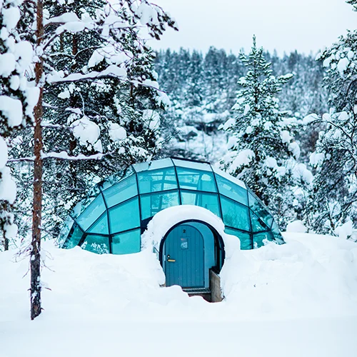 Glass igloos nestled in a snowy forest at Kakslauttanen Arctic Resort in Finland