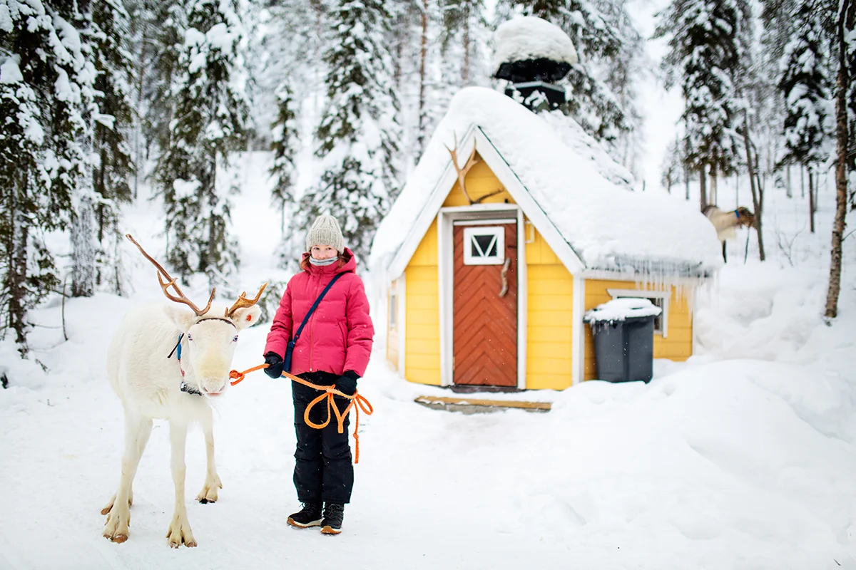 Reindeer farm visit is one of amazing activities in Ruka-Kuusamo