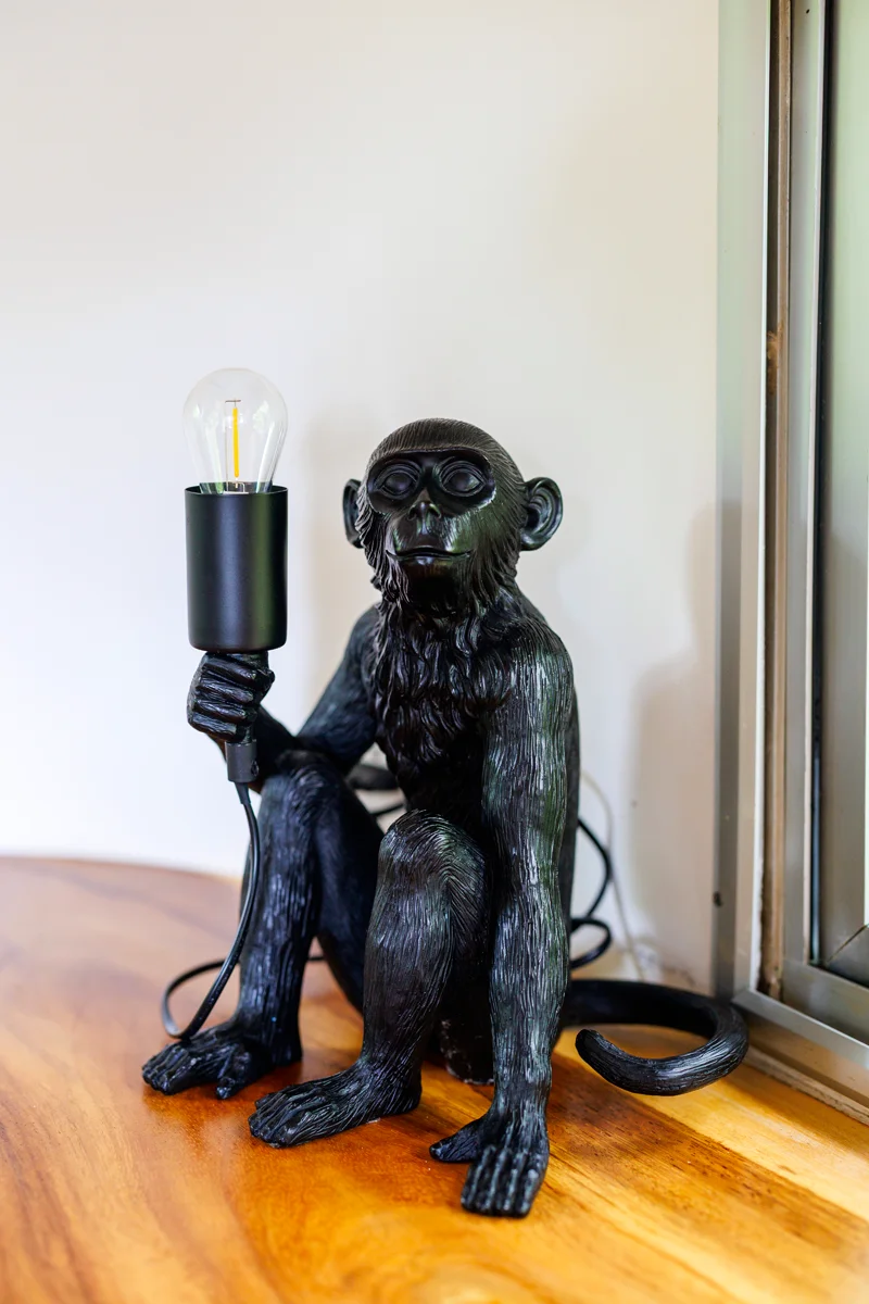 Interior of Avion at La Caravana hotel in Costa Rica - lamp