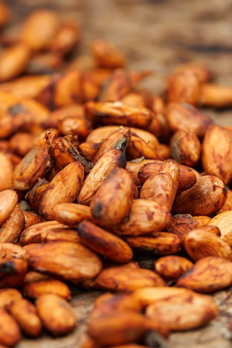 La Fortuna Costa Rica coffee tour