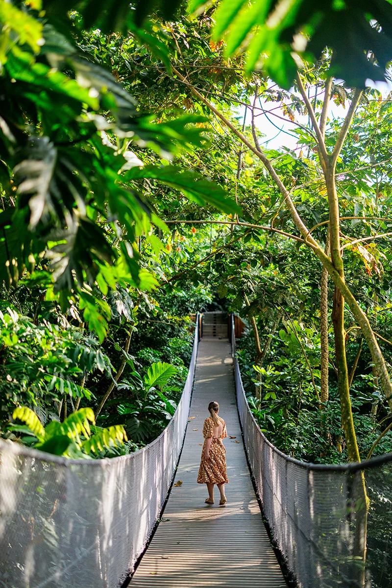 Nayara Tented Camp suspension bridge