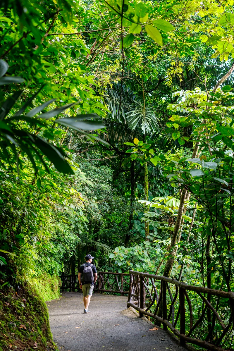 La Fortuna guide: Místico Arenal Park