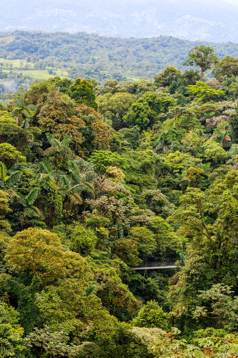 Místico Arenal Hanging Bridges
