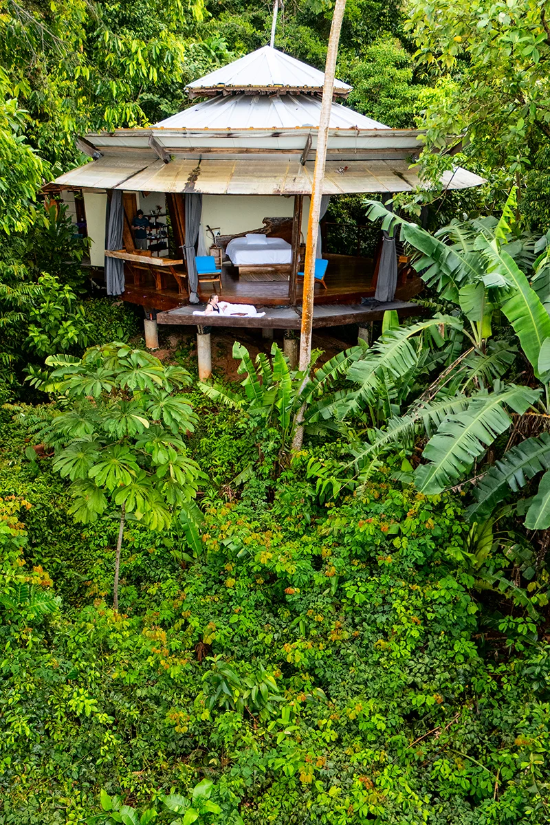 Rainforest King Bungalow at La Loma Jungle Lodge