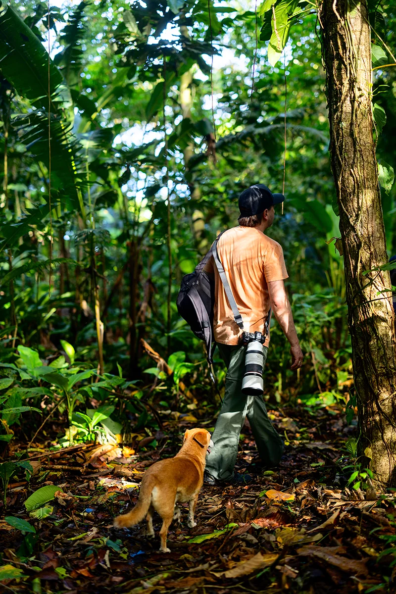 Man walking with dog in jungle