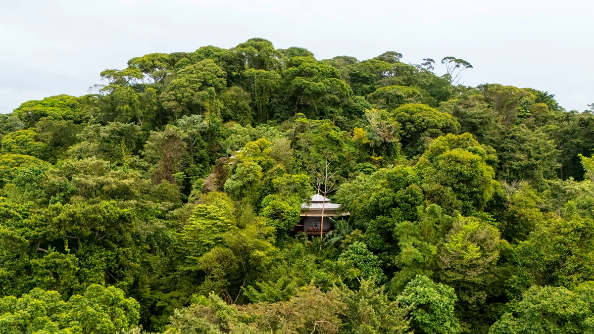 Review Of La Loma Jungle Lodge In Bocas del Toro, Panama