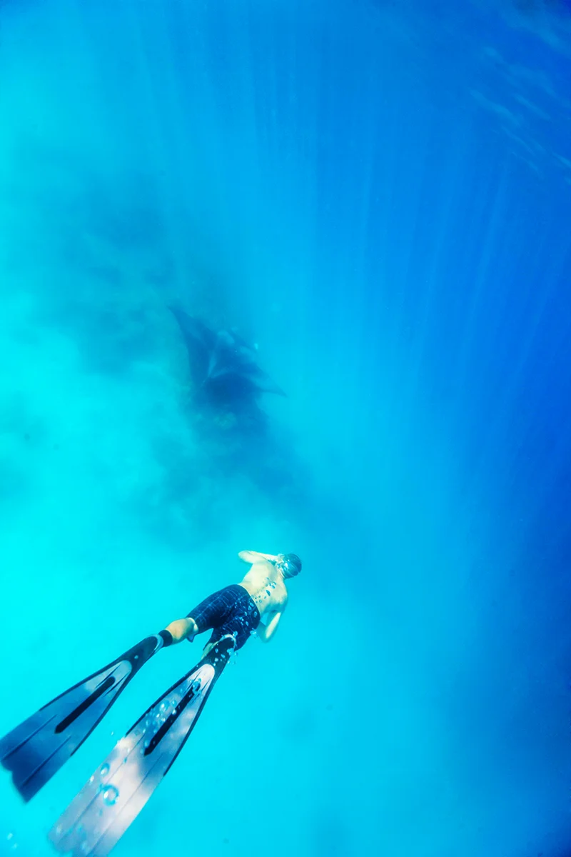 Snorkeling with mantas near Ninamu Resort