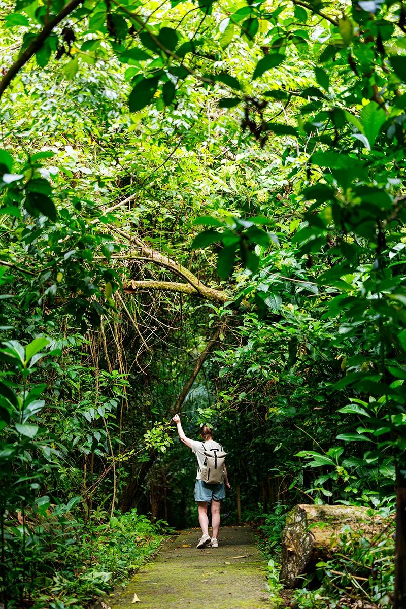 Manuel Antonio National park Costa Rica