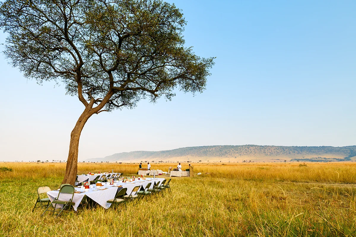 Champagne breakfast on the savannah after our balloon flight in Masai Mara Kenya