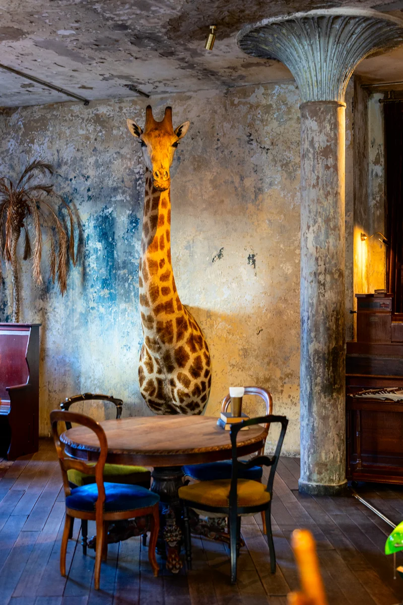 Giraffe head inside a vintage room in The Mustang Blu