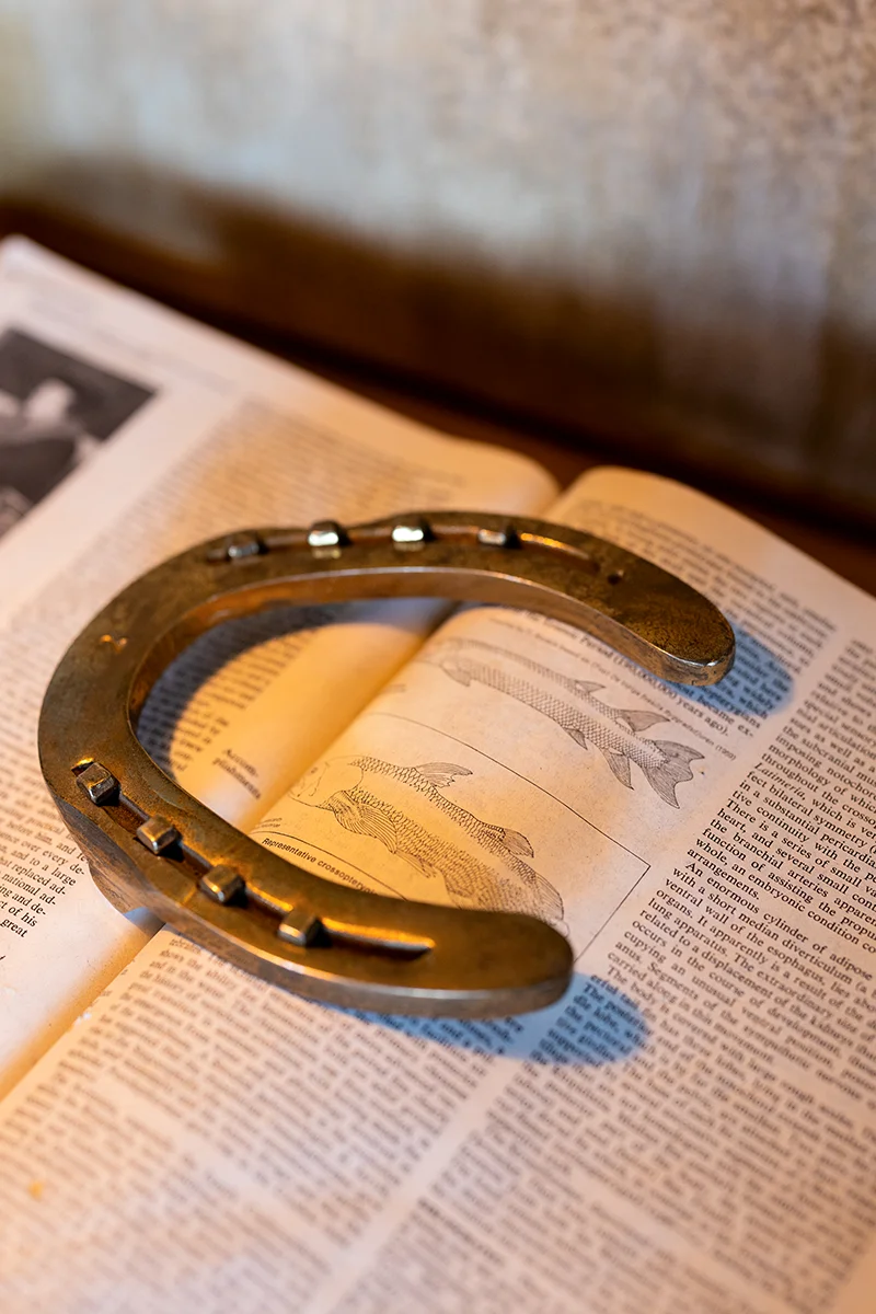 Horseshoe on open book page