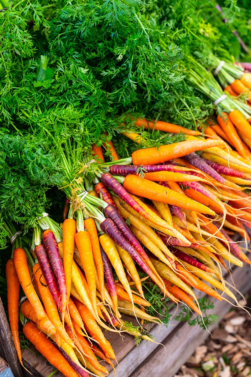 one of the best things to do in Cape Town is to visit farmers market