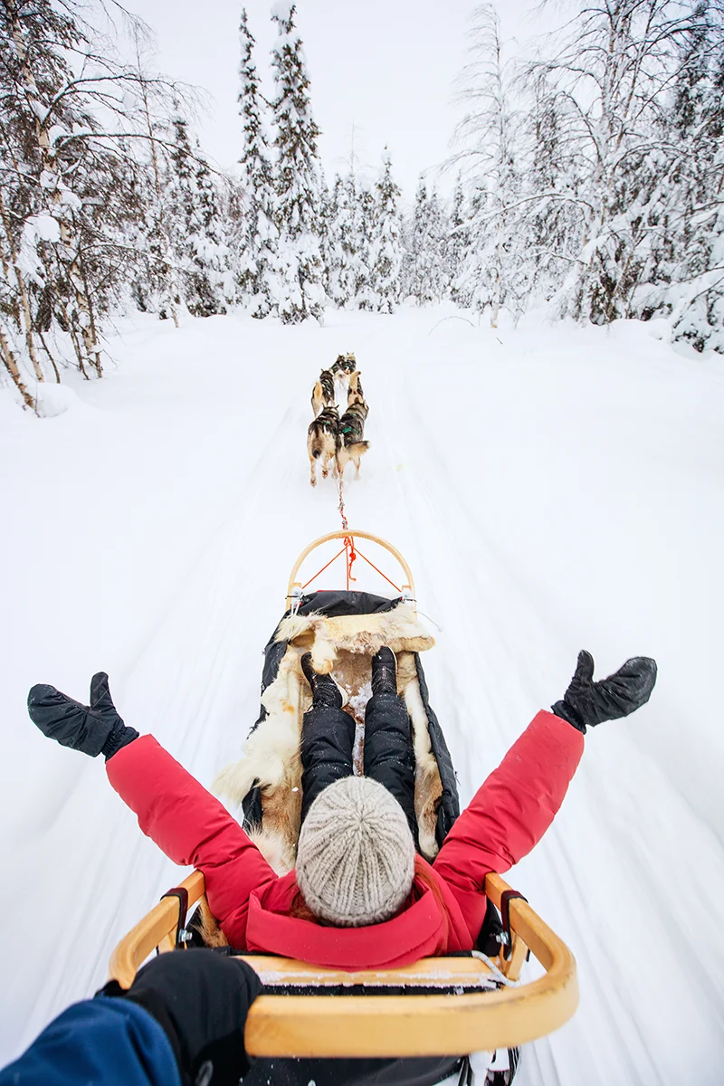 Family enjoying husky sledding adventure in Ruka-Kuusamo