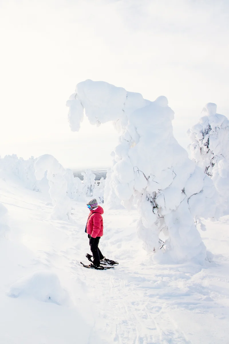 Snowshoeing in Ruka-Kuusamo