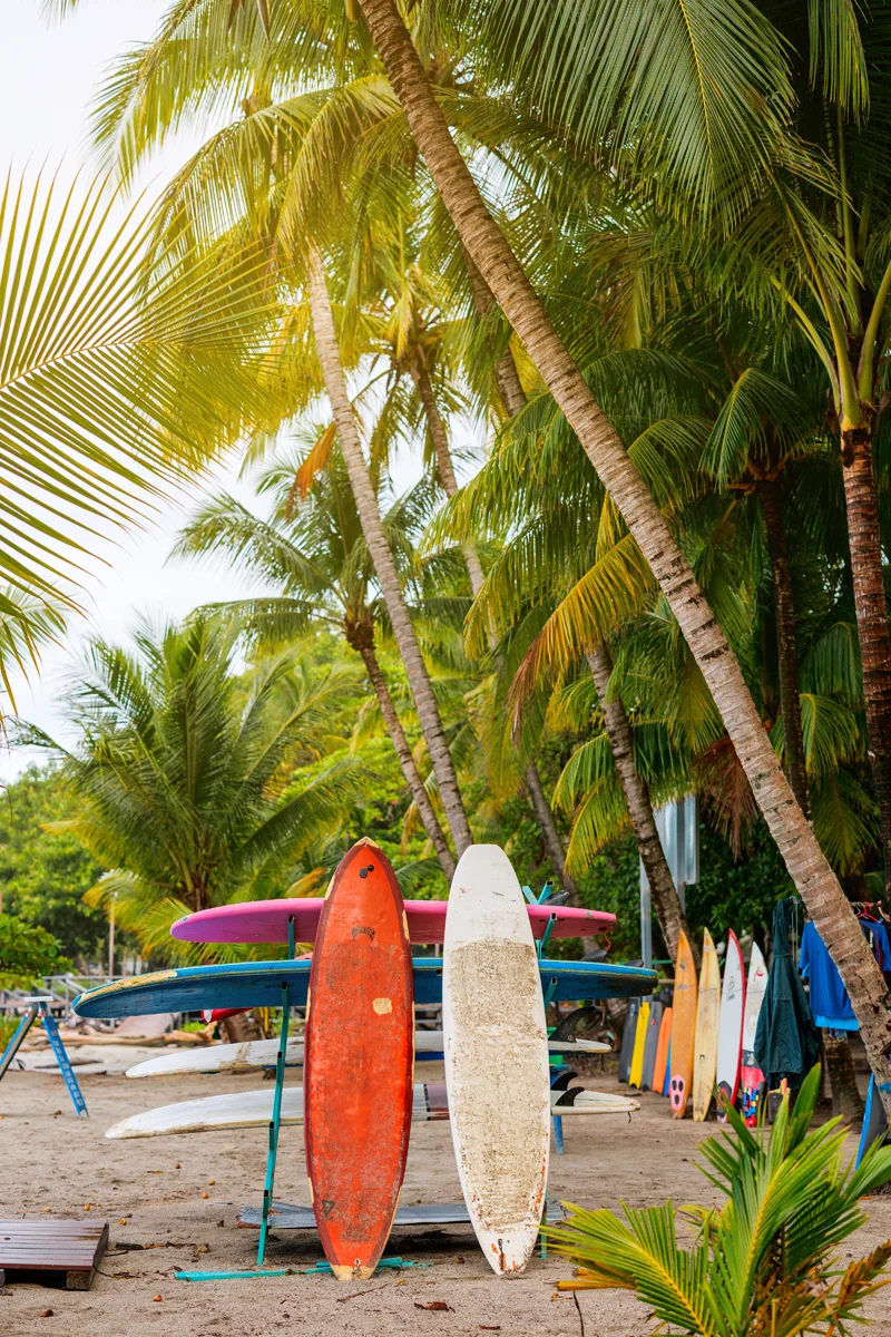 Surfing boards at Playa Samara in Costa Rica