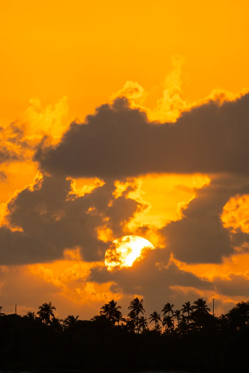 Sunset over palm tree silhouette in the San Blas Islands
