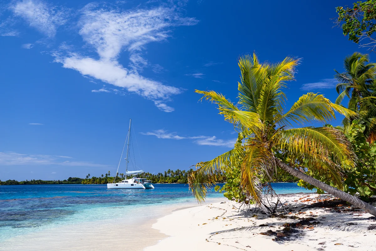 Tropical beach with sailboat and palm