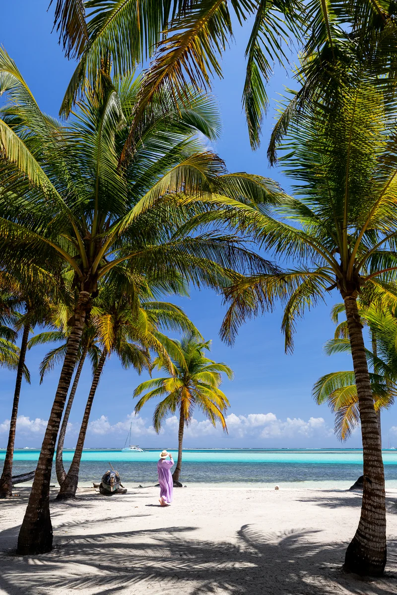 Tropical beach with palm trees in San Blas Islands Panama