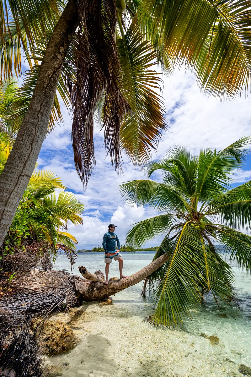 Man standing on a palm tree