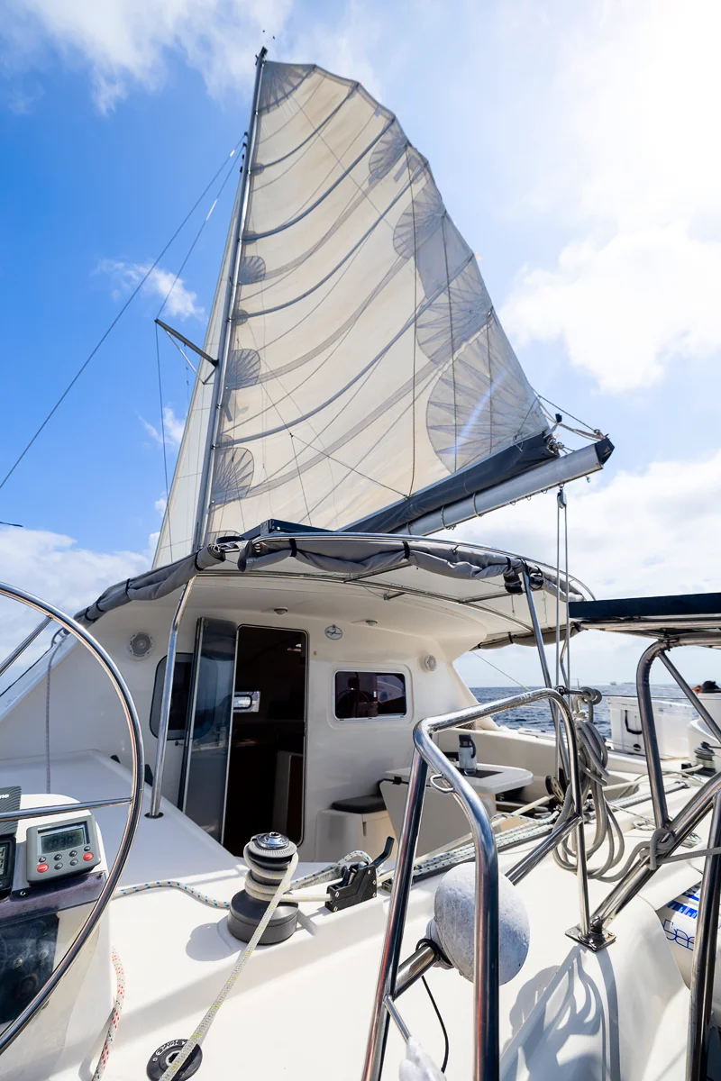 Catamaran with billowing sails at sea