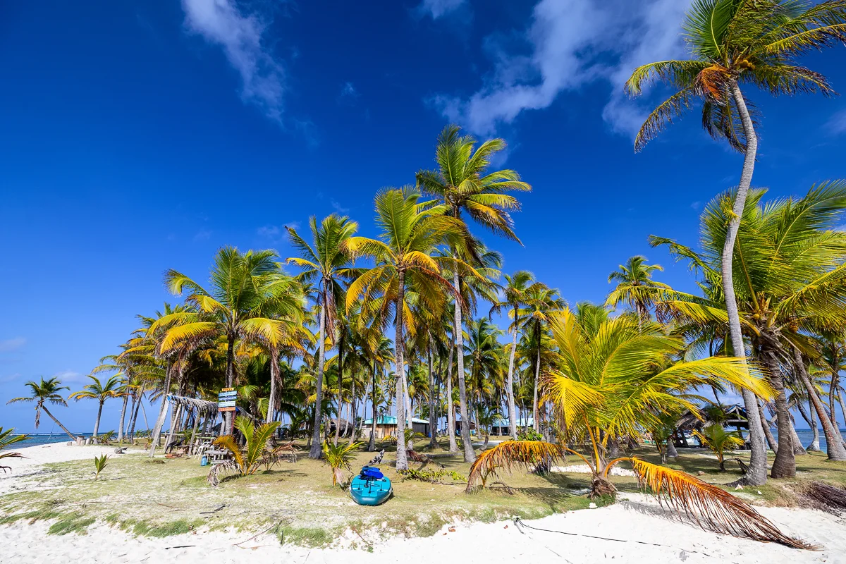 Tropical beach with palm trees, San Blas Islands Panama