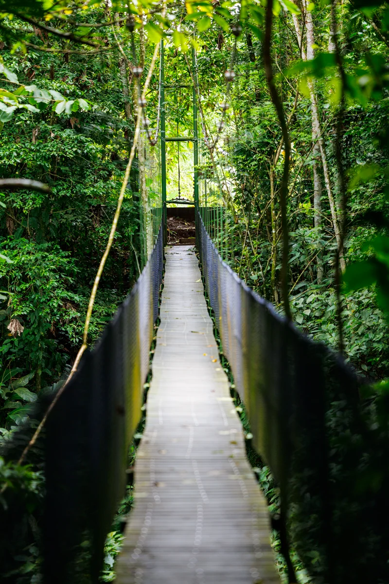 Hanging bridge at rainforest in La Fortuna Costa Rica