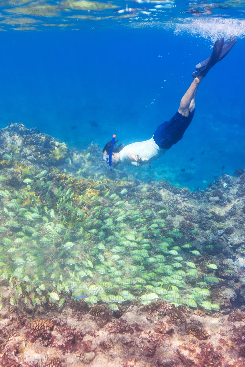 Snorkeling in French Polynesia