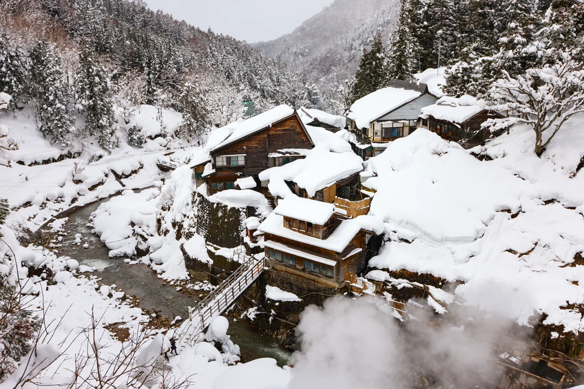 Jigokudani Onsen Korakukan ryokan steps from Snow Monkey Park