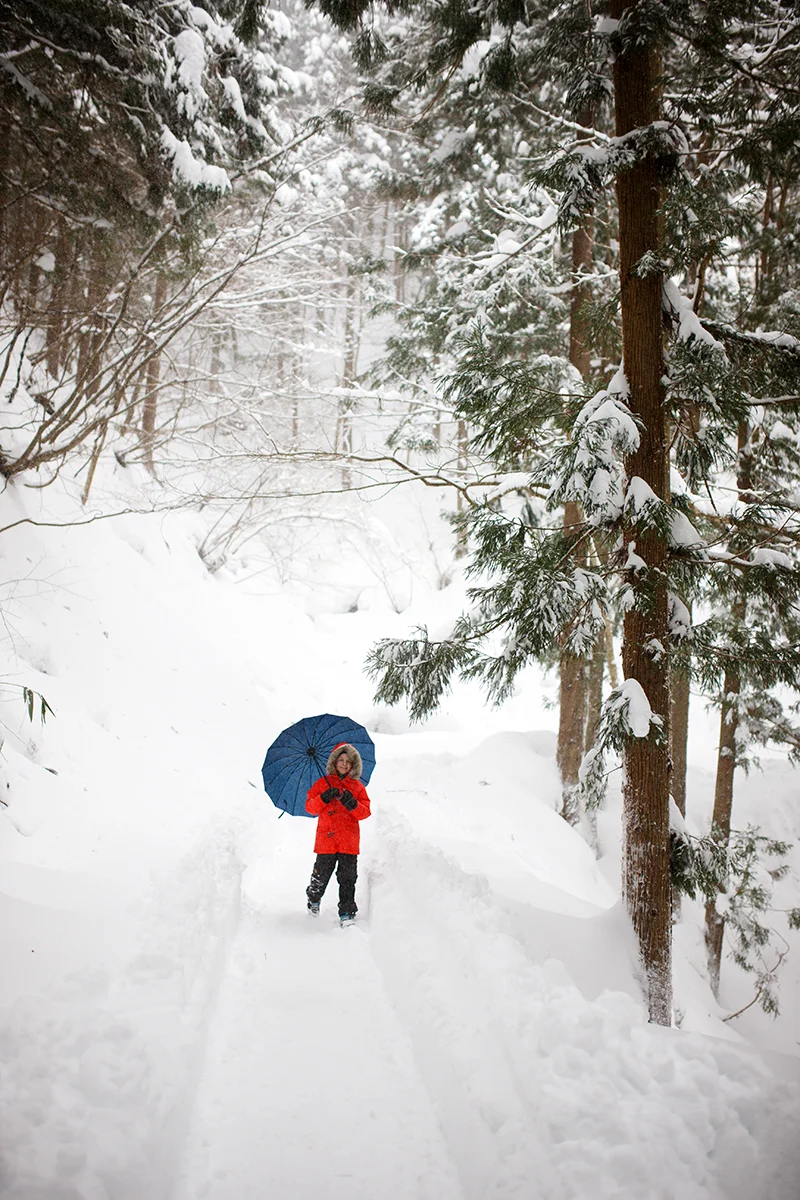 Child with umbrella in snowy forest